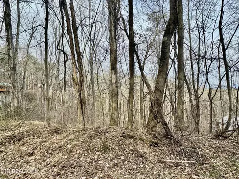 Ridgecrest Drive, Sevierville, TN 37876