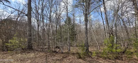 Cumberland Lakes Drive, Monterey, TN 38574