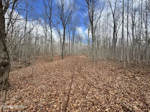 1552 Wilson Ridge Rd, Jamestown, TN 38556