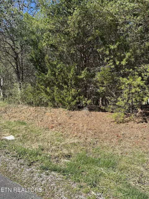 Ganega Trail, Vonore, TN 37885