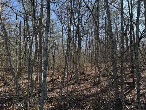 lot4 211 Cumberland Lakes Dr, Monterey, TN 38574