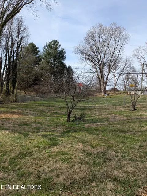 641 Grandeur Dr, Talbott, TN 37877 photo 30
