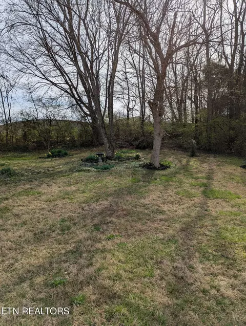 641 Grandeur Dr, Talbott, TN 37877 photo 31
