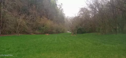 Wilhite Rd, Cosby, TN 37722