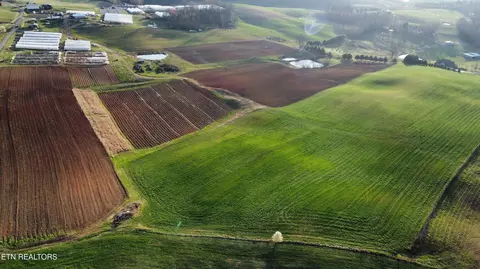 70 Acres- Perrin Hill Rd, Rutledge, TN 37861