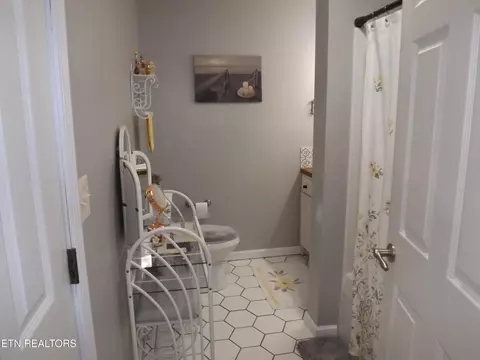 Bath - 164 Smith Dr, Harrogate, TN 37752 photo 3 of 4