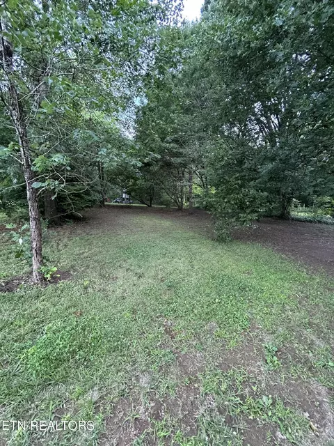 7311 Roberts Rd, Corryton, TN 37721 photo 43