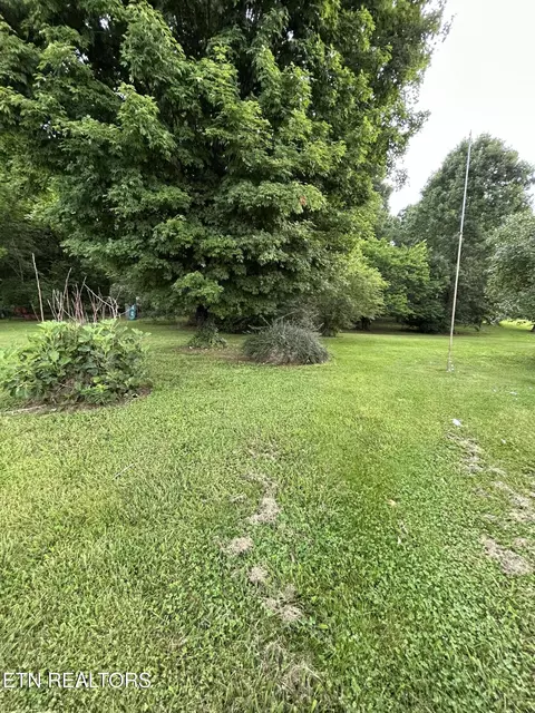 7311 Roberts Rd, Corryton, TN 37721 photo 45
