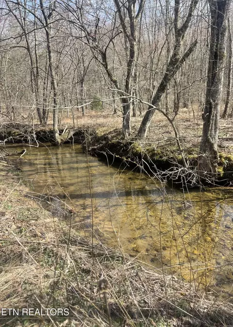 Tilley Rd, Tellico Plains, TN 37385