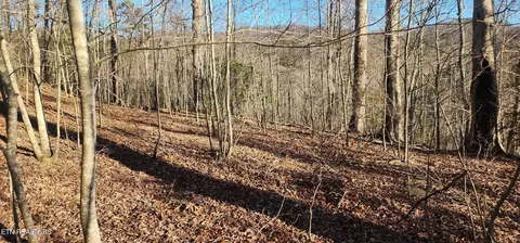 206 Lick Creek Ln, La Follette, TN 37766
