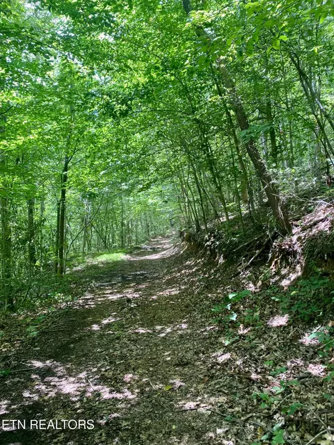 River Ridge Road Tract 4, Maynardville, TN 37807