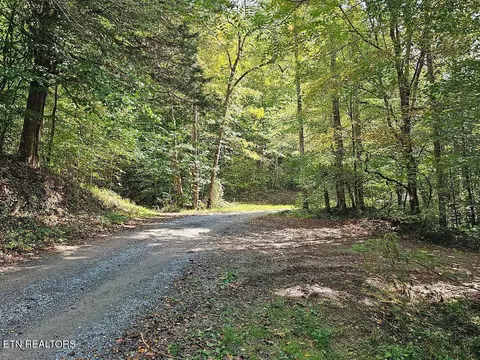 73 87ac Mill Hollow Rd, Tazewell, TN 37879