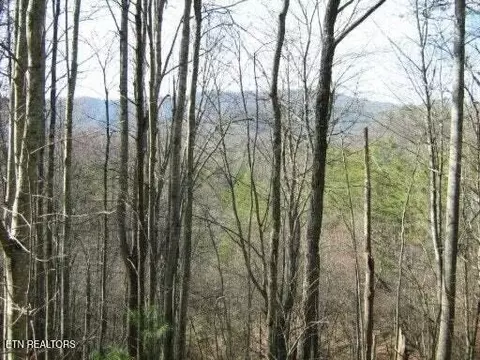 0 Faith Mtn Rd, Hartford, TN 37753