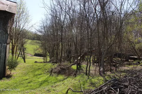 820 Calloway Rd, Rutledge, TN 37861 photo 26