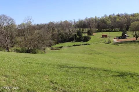 820 Calloway Rd, Rutledge, TN 37861 photo 5