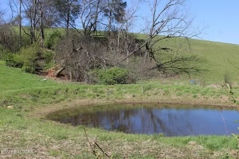 820 Calloway Rd, Rutledge, TN 37861 photo 22