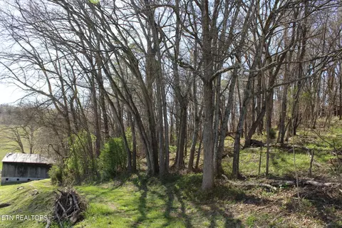 820 Calloway Rd, Rutledge, TN 37861 photo 8