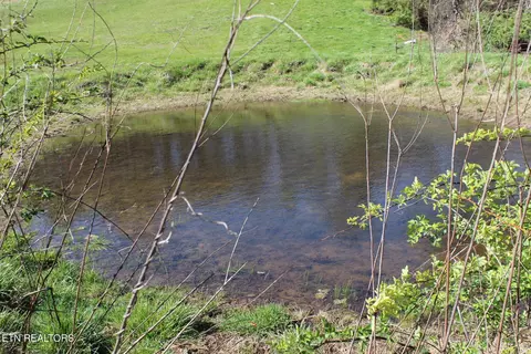 820 Calloway Rd, Rutledge, TN 37861 photo 25