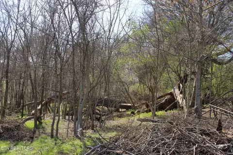 820 Calloway Rd, Rutledge, TN 37861 photo 27