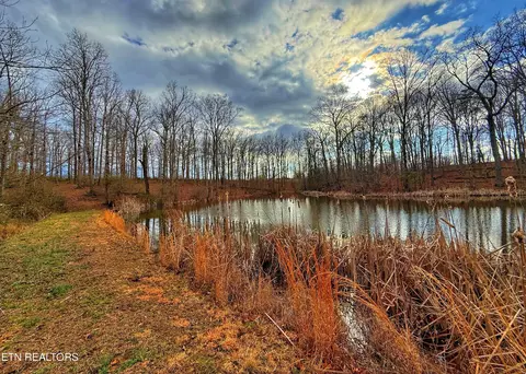 Winningham Rd. - 10.6 Acres, Crossville, TN 38572