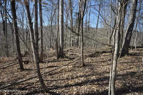 00 Old Tazewell Pike, Luttrell, TN 37779
