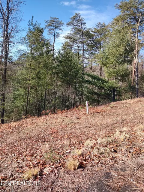 3376 Flintlock Ln, Sevierville, TN 37862