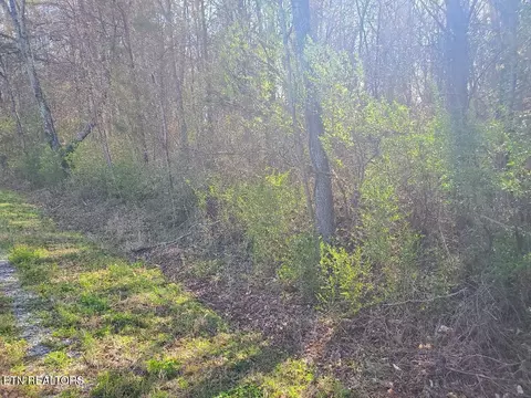 lot2 Highway 304, Decatur, TN 37322