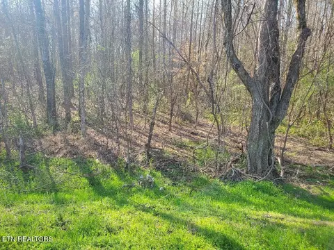 lot3 Highway 304, Decatur, TN 37322