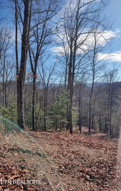 3372 Flintlock Ln, Sevierville, TN 37862