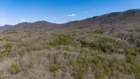 Wolfenbarger Tract 1, Luttrell, TN 37779 photo 26