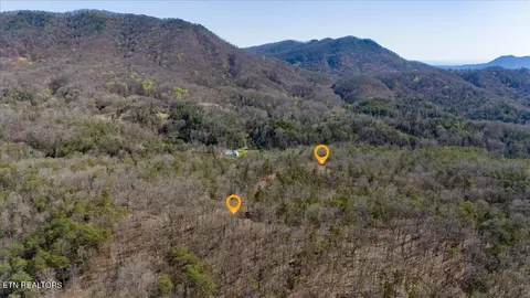 Wolfenbarger Tract 1, Luttrell, TN 37779 photo 19