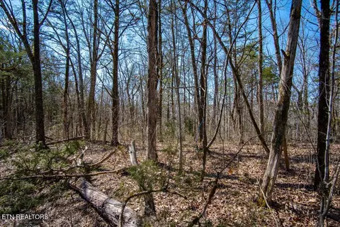 Wolfenbarger Tract 1, Luttrell, TN 37779 photo 25