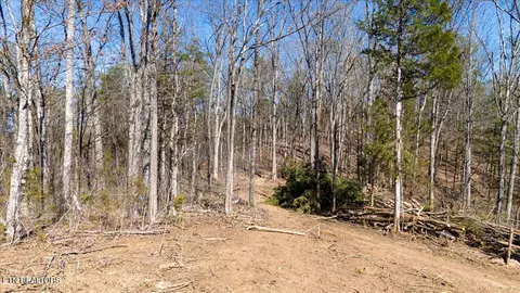 Wolfenbarger Tract 1, Luttrell, TN 37779 photo 6