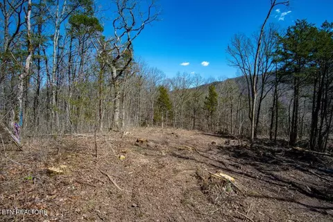Wolfenbarger Tract 1, Luttrell, TN 37779 photo 4