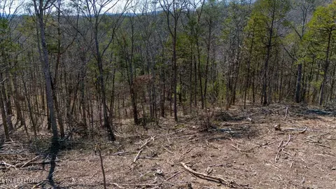 Wolfenbarger Tract 1, Luttrell, TN 37779 photo 14