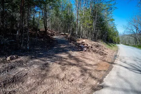 Wolfenbarger Tract 1, Luttrell, TN 37779 photo 3