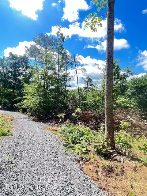 Dunville Gap Rd, Rutledge, TN 37861