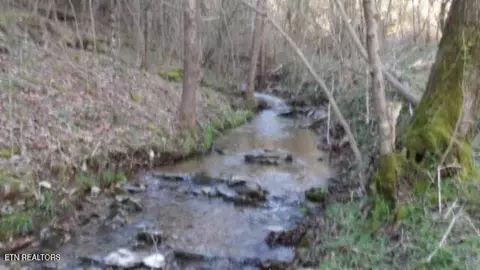 35 68ac Sugar Creek Rd, Gainesboro, TN 38562