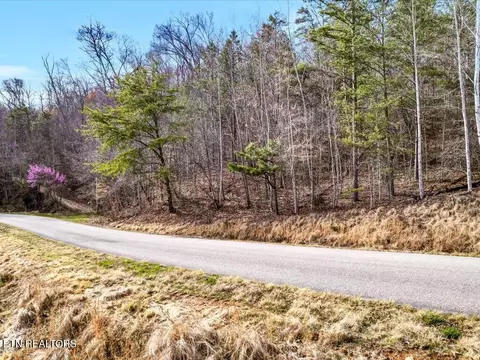 lot553 Whistle Valley Rd, New Tazewell, TN 37825
