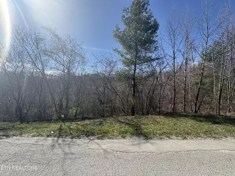 Grape Rough Rd, Oneida, TN 37841