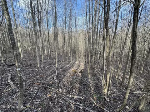 Grape Rough Rd, Oneida, TN 37841 photo 16