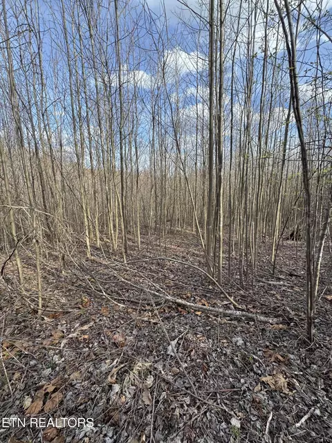 Grape Rough Rd, Oneida, TN 37841 photo 14