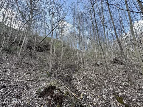 Grape Rough Rd, Oneida, TN 37841 photo 9