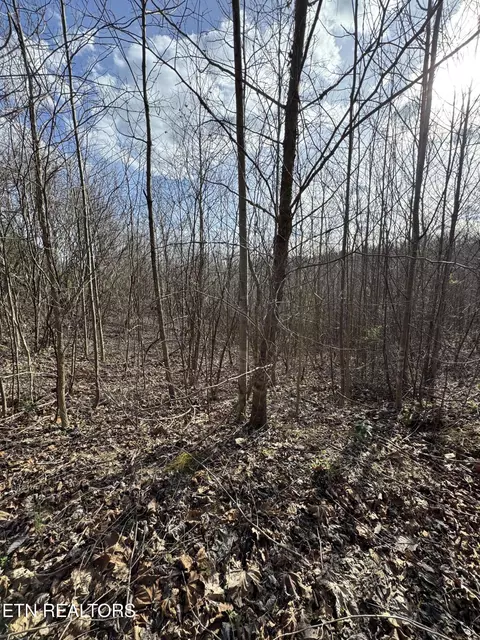 Grape Rough Rd, Oneida, TN 37841 photo 3