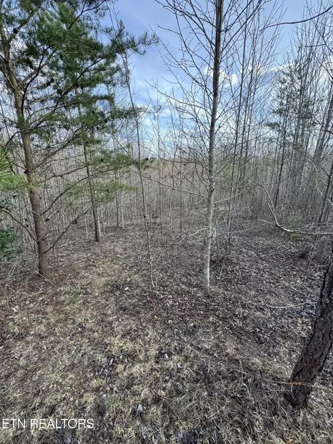 Grape Rough Rd, Oneida, TN 37841 photo 18