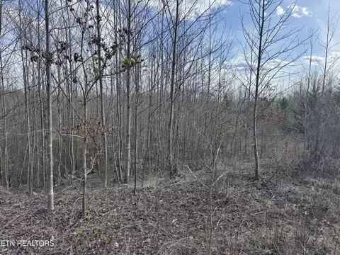 Grape Rough Rd, Oneida, TN 37841 photo 5
