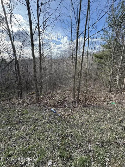 Grape Rough Rd, Oneida, TN 37841 photo 2