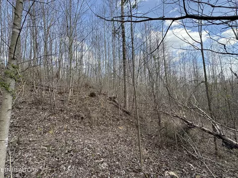 Grape Rough Rd, Oneida, TN 37841 photo 12