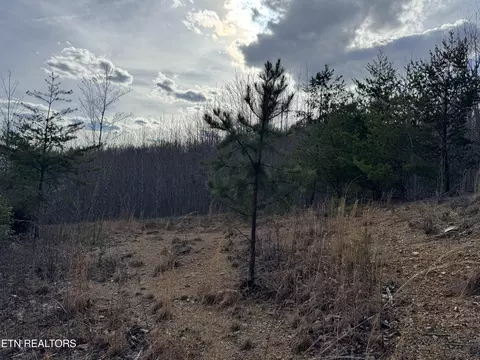 Grape Rough Rd, Oneida, TN 37841 photo 6