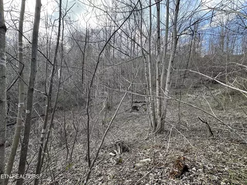 Grape Rough Rd, Oneida, TN 37841 photo 8